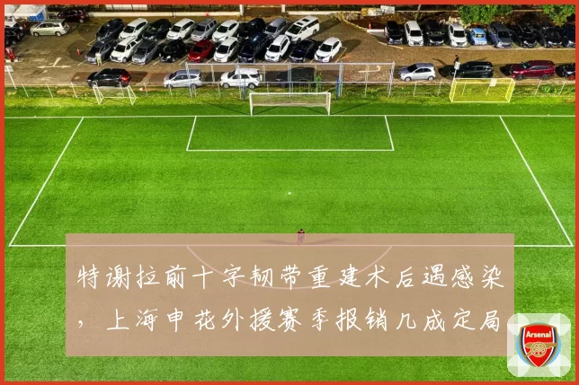 特谢拉前十字韧带重建术后遇感染,上海申花外援赛季报销几成定局