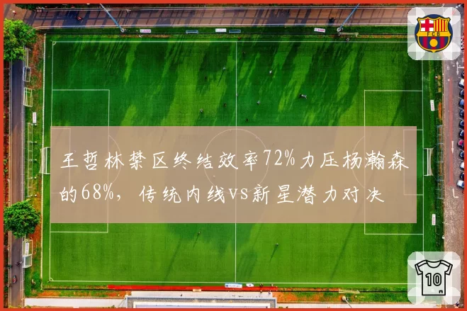 王哲林禁区终结效率72%力压杨瀚森的68%，传统内线vs新星潜力对决